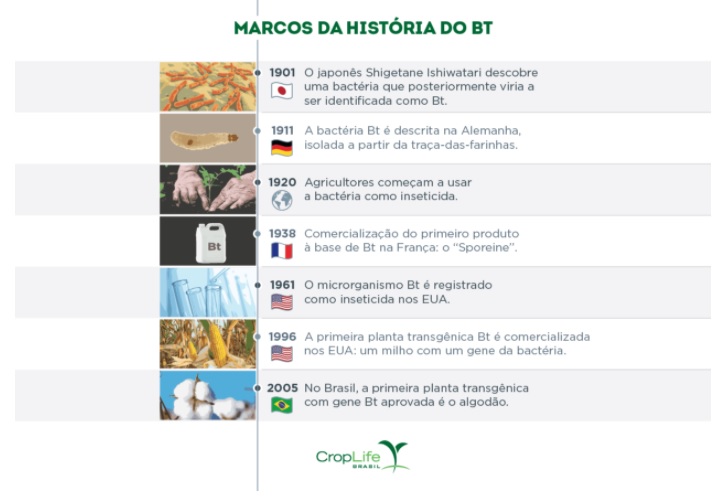 Bacillus thurigiensis um microrganismo para muitas tecnologias