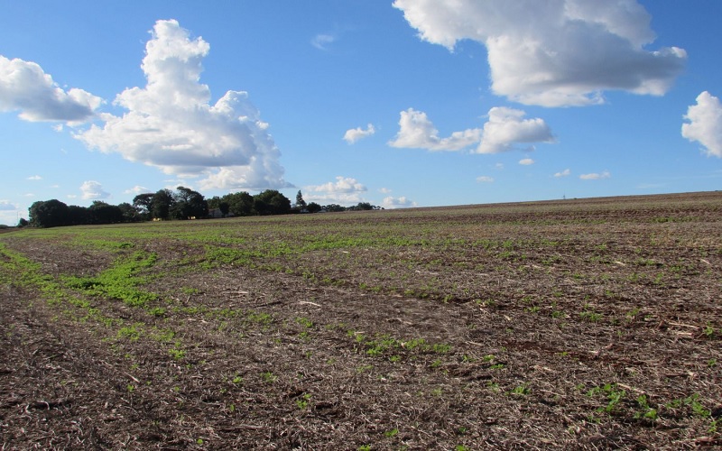Preço de áreas agrícolas sobe 50% no Paraná