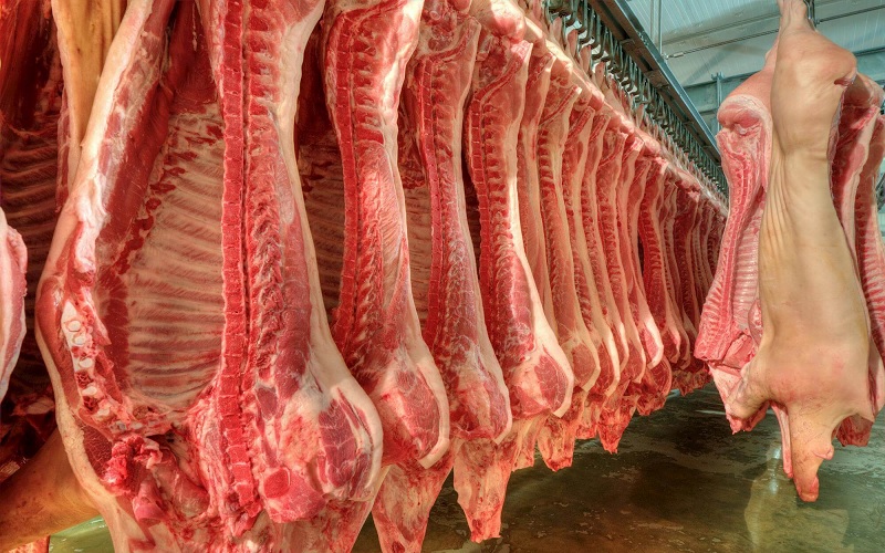 Exportações de carne suína crescem em abril