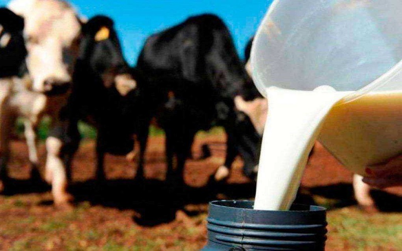 Preço pago ao produtor de leite tem aumento