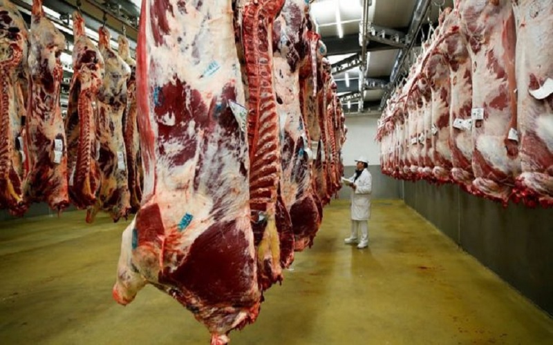 Embarques de carne bovina sobem em abril