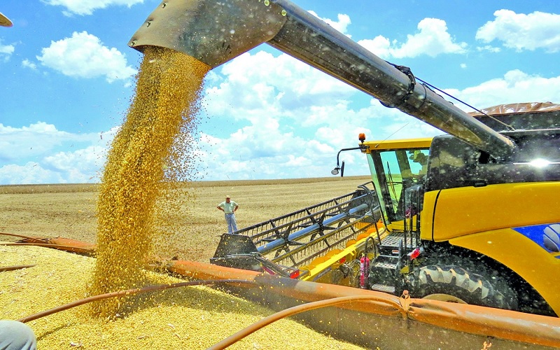Vendas da safra 2020 2021 de soja em Mato Grosso do Sul