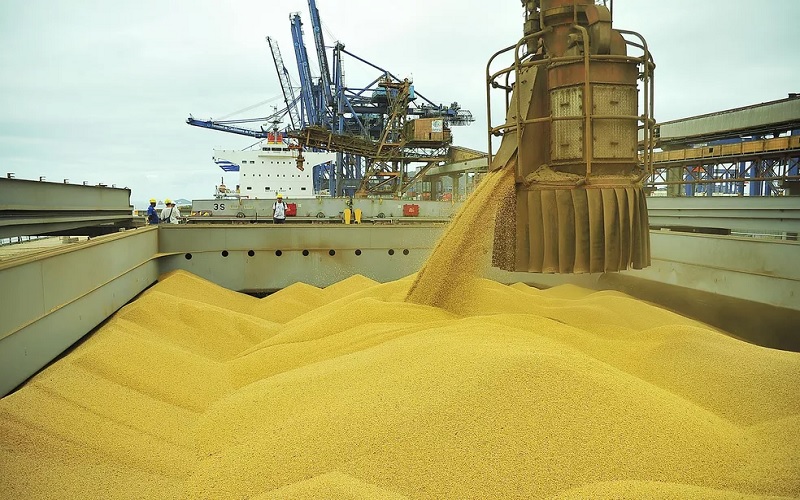 Volume e faturamento com exportações do agro seguem elevados
