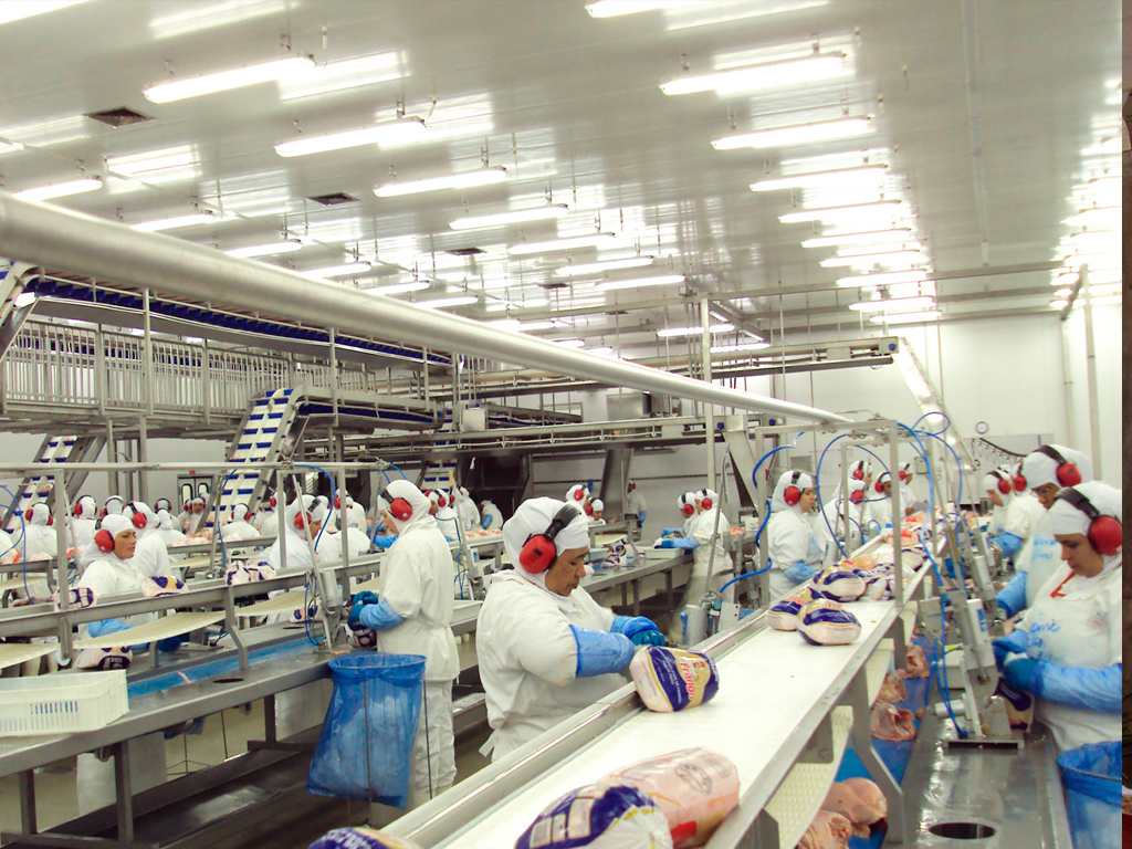 GTFoods amplia canais para processo seletivo e anuncia vagas de emprego em plataforma virtual