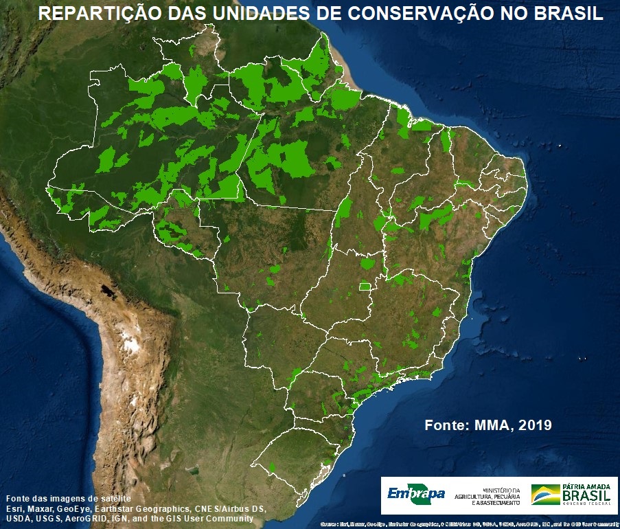 O campeão da proteção florestal