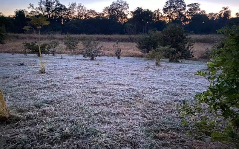 Onda de frio pode ser uma das mais intensas neste século
