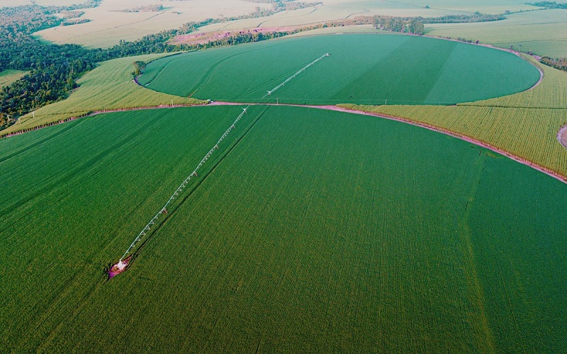 Falar inglês para trabalhar na agricultura se tornando necessidade