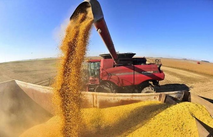 Produção brasileira de grãos crescerá 27% até 2030