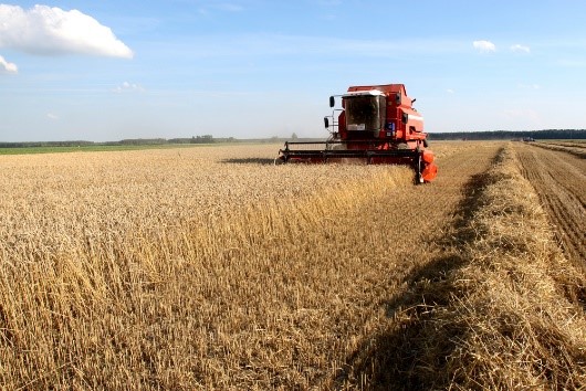 Área tratada com defensivos agrícolas cresceu 12,3% no segundo trimestre. Devido à safrinha, participação do milho dobrou no período