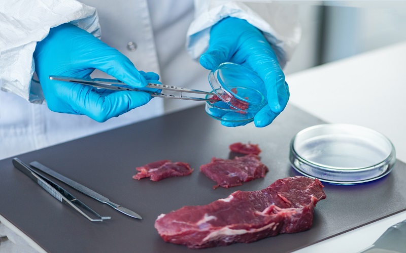 carne de laboratório