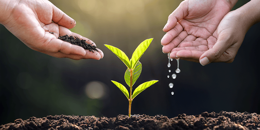 Sustentabilidade e inovação com biológicos na agricultura