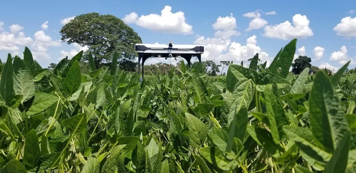 Robótica no manejo pecuário: eficiência e inovação rural