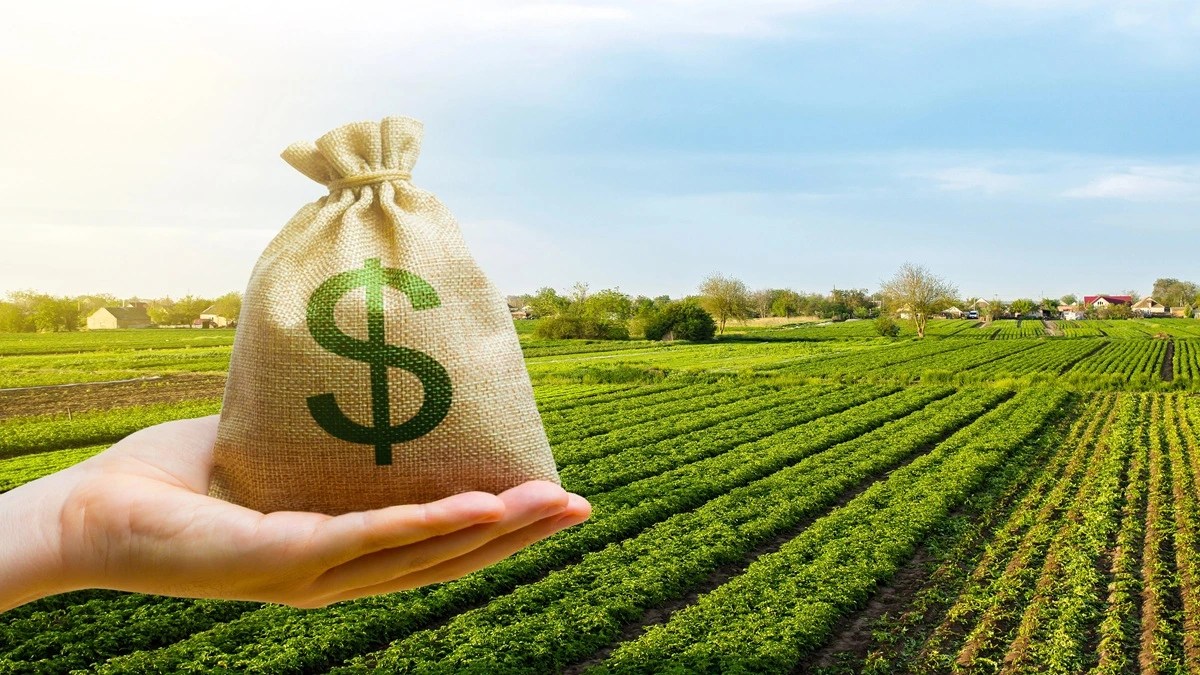 dólar vs agronegócio