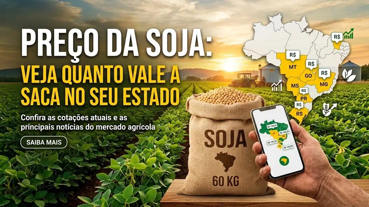 preço da soja