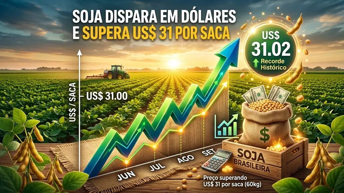 soja