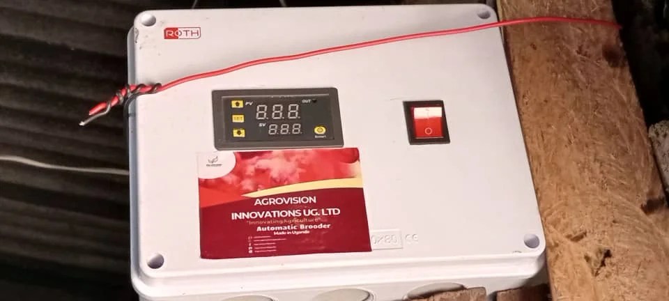 Empowering Youth Farmers with Modern Poultry Technology