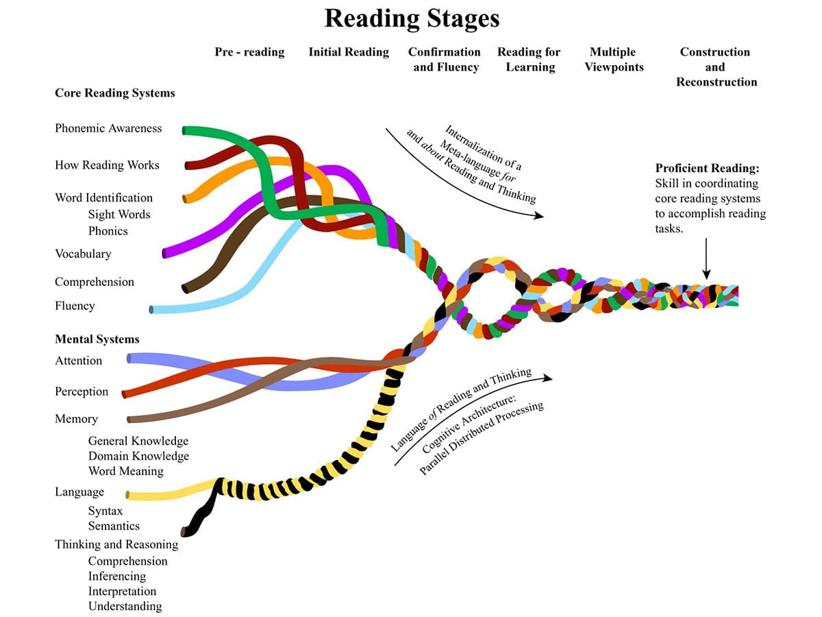 Reading Stages of Development | A Growing Understanding