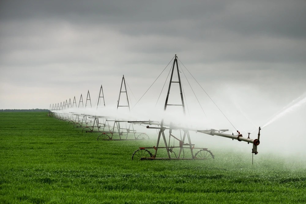 Irrigation Field