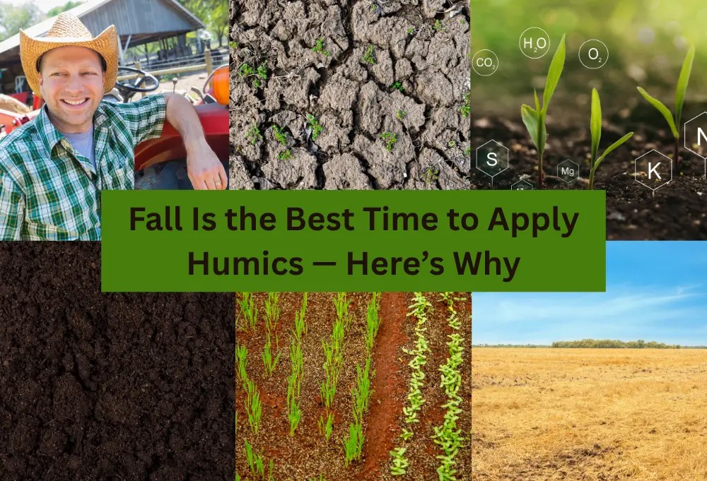 Fall_Best_Time_To_Apply_Humics