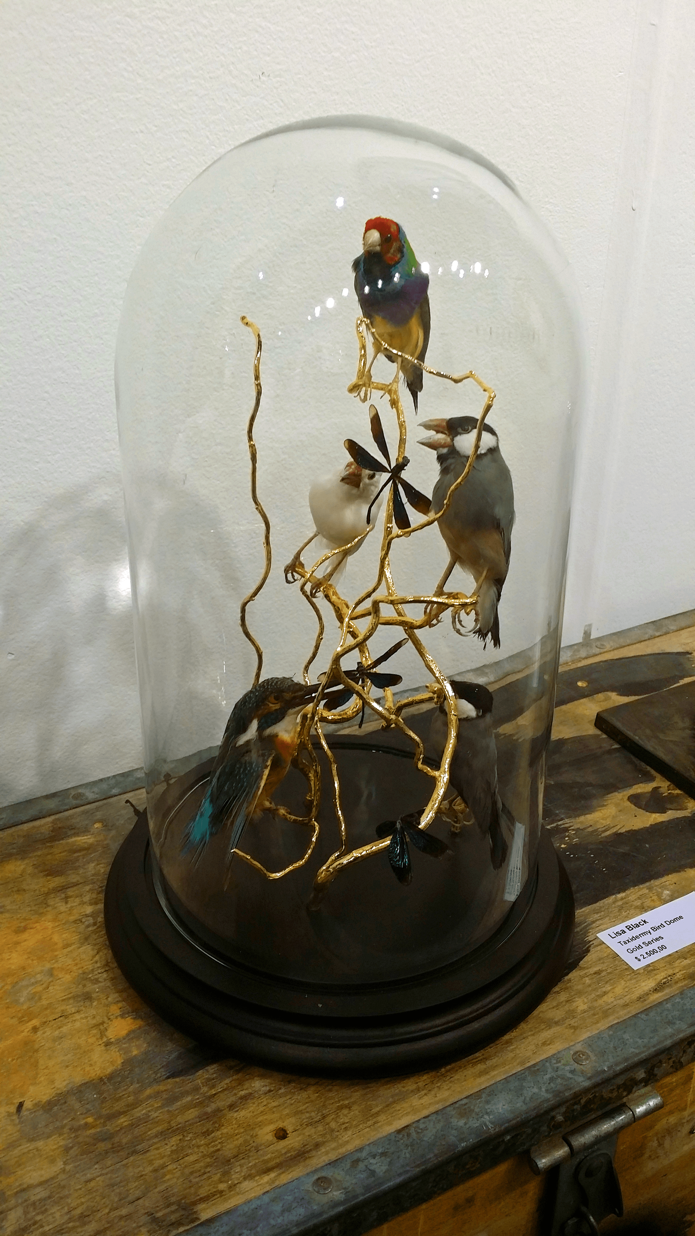 20140118_173512