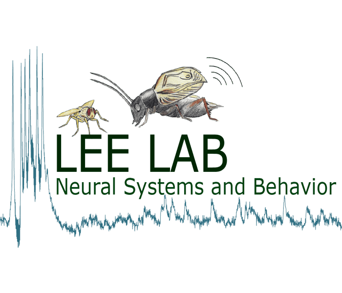 Eragso Eric Aguil Soler Github - Best Light Backgrounds in Ultra HD