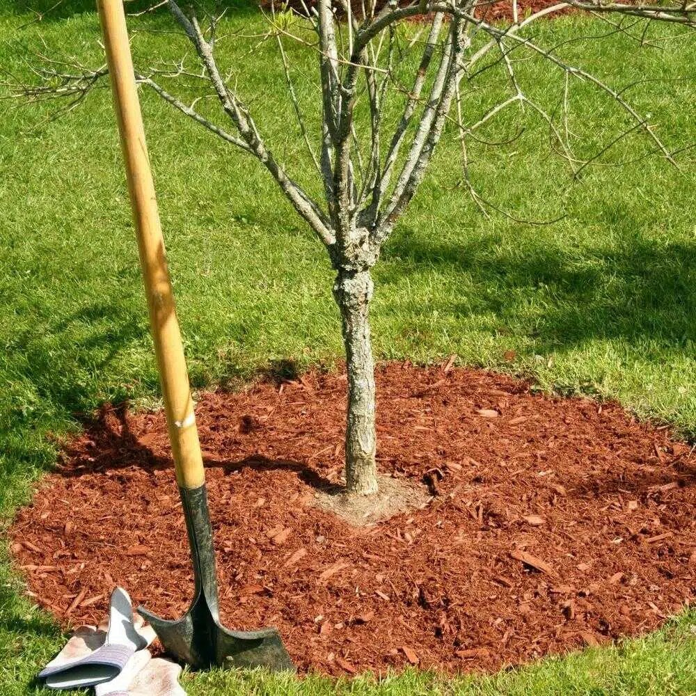 Residential Mulching Service