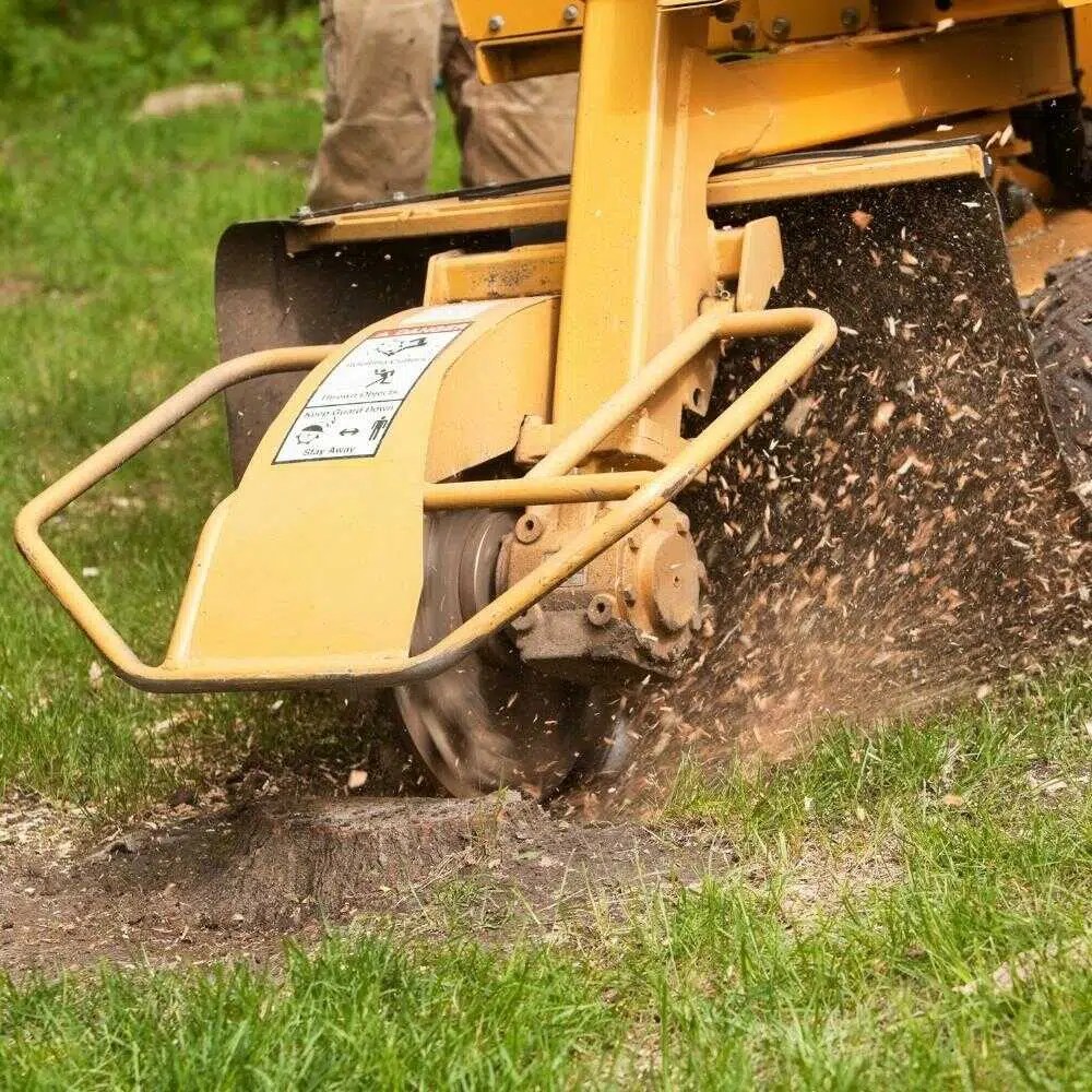 Stump Grinding and Removal