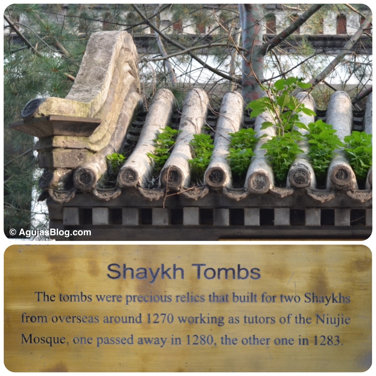 Niujie Mosque - Shaykh Tombs