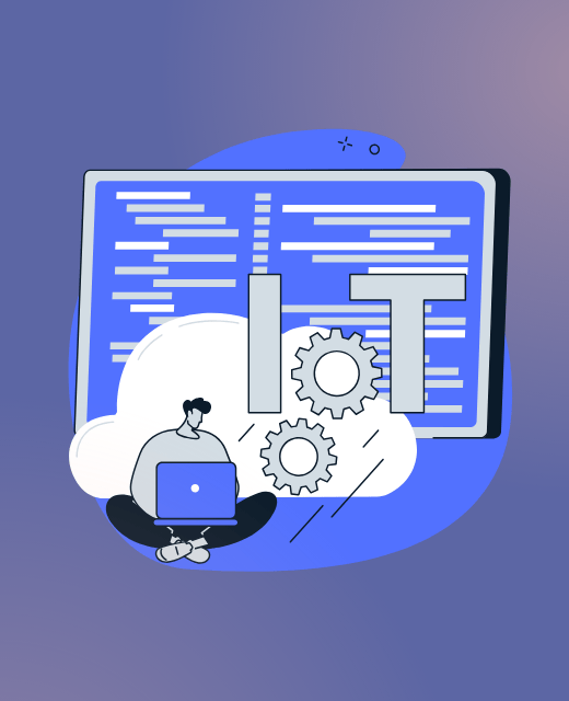 Custom Software Development for IoT