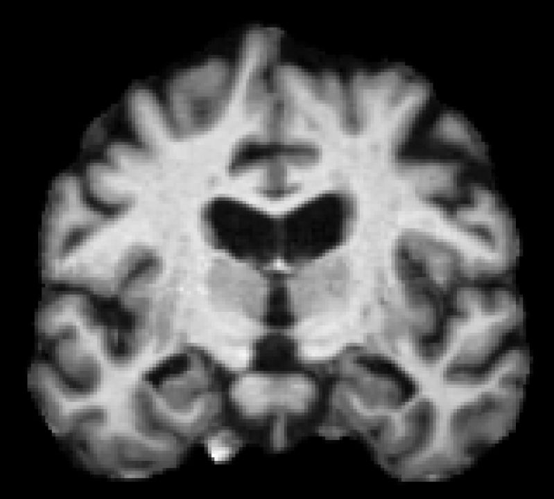 Ahoopes Andrew Hoopes Github - Artistic Vintage Design - High Resolution