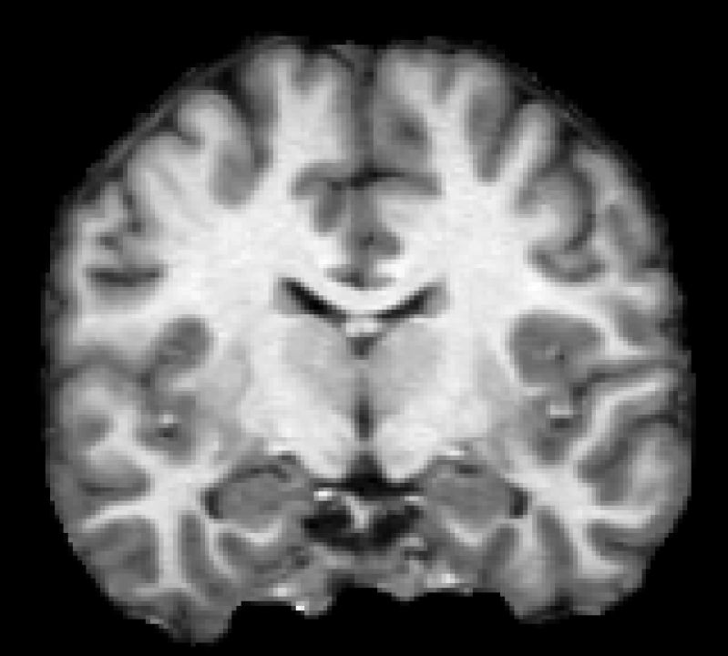 Ahoopes Andrew Hoopes Github - City Photo Collection - Retina Quality