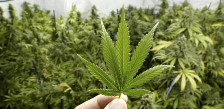 Una sociedad rastafari de Kenia pide legalizar el consumo de marihuana para fines religiosos