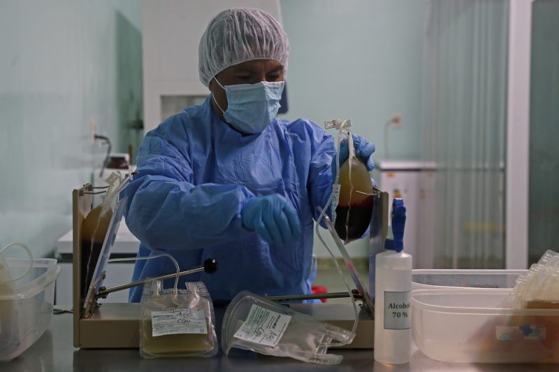 Enviarán suero de burro anticovid a Brasil para control de calidad y prevén su producción desde agosto