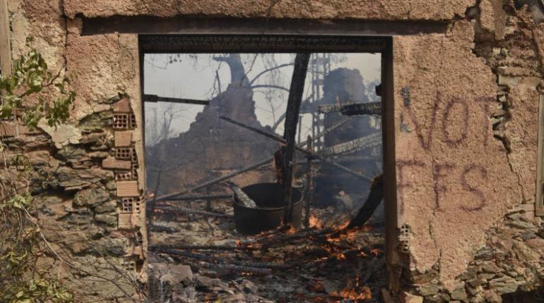 Al menos siete personas fallecen durante los incendios en el norte de Argelia