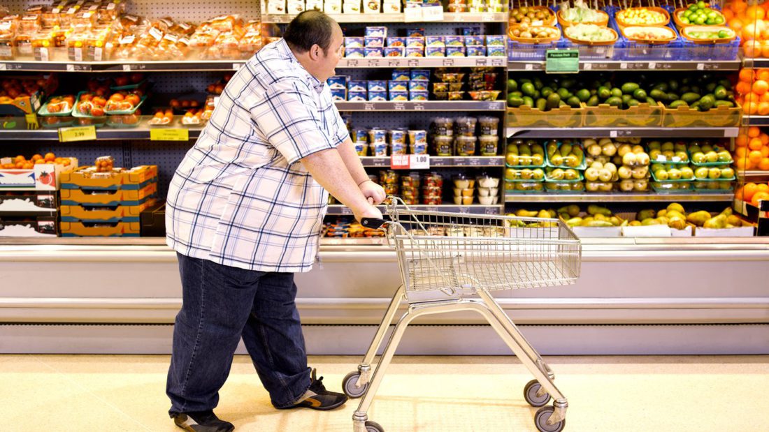 Descubren un mecanismo que genera la quema de grasas, un paso para reducir la obesidad