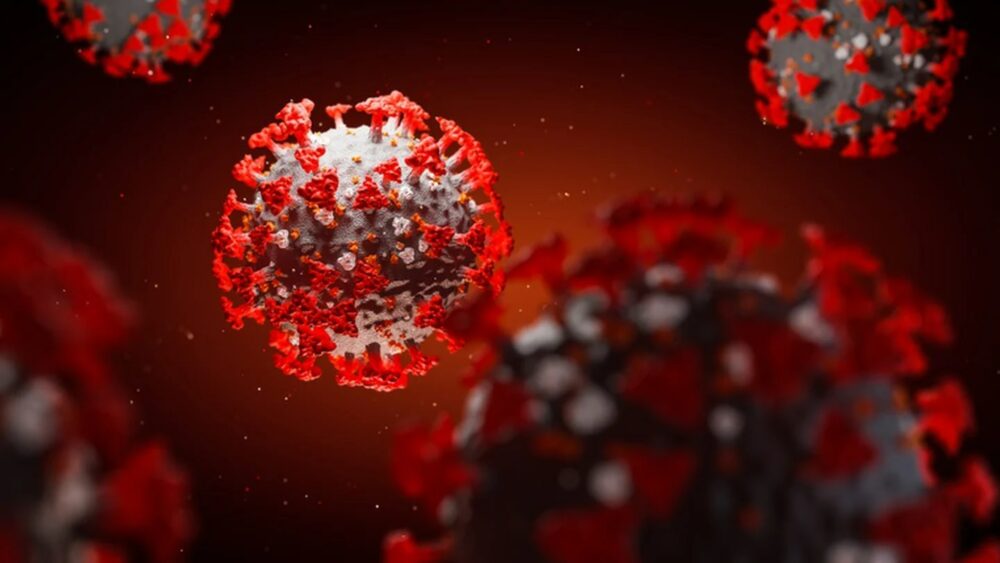 Detectan el ácido nucleico que bloquea la entrada del coronavirus en las células humanas