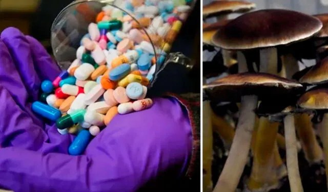 Australia legalizará el éxtasis y hongos alucinógenos para tratamientos psiquiátricos: ¿qué tan efectivos son?