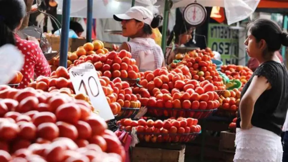 Campesinos en Tarija exigen ferias y mercados para venta directa del productor al consumidor