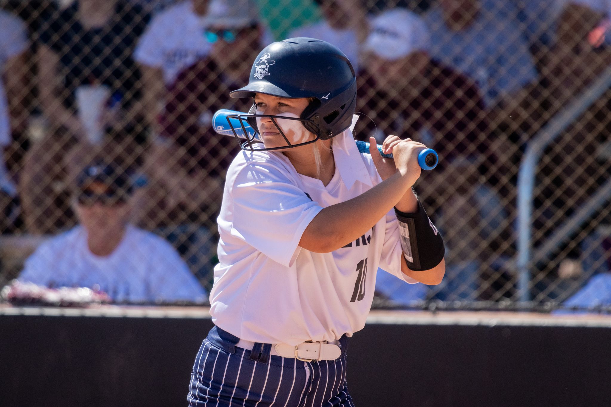 rogers softball