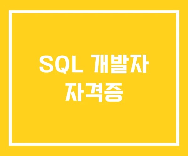 SQL 개발자 자격증 SQL 개발자 자격증