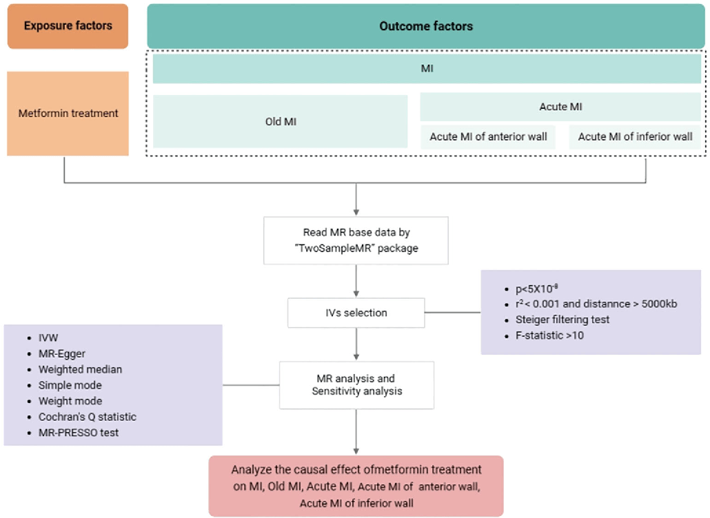 Figure 2 from unraveling genetic causality between metformin and myocardial infarction on the