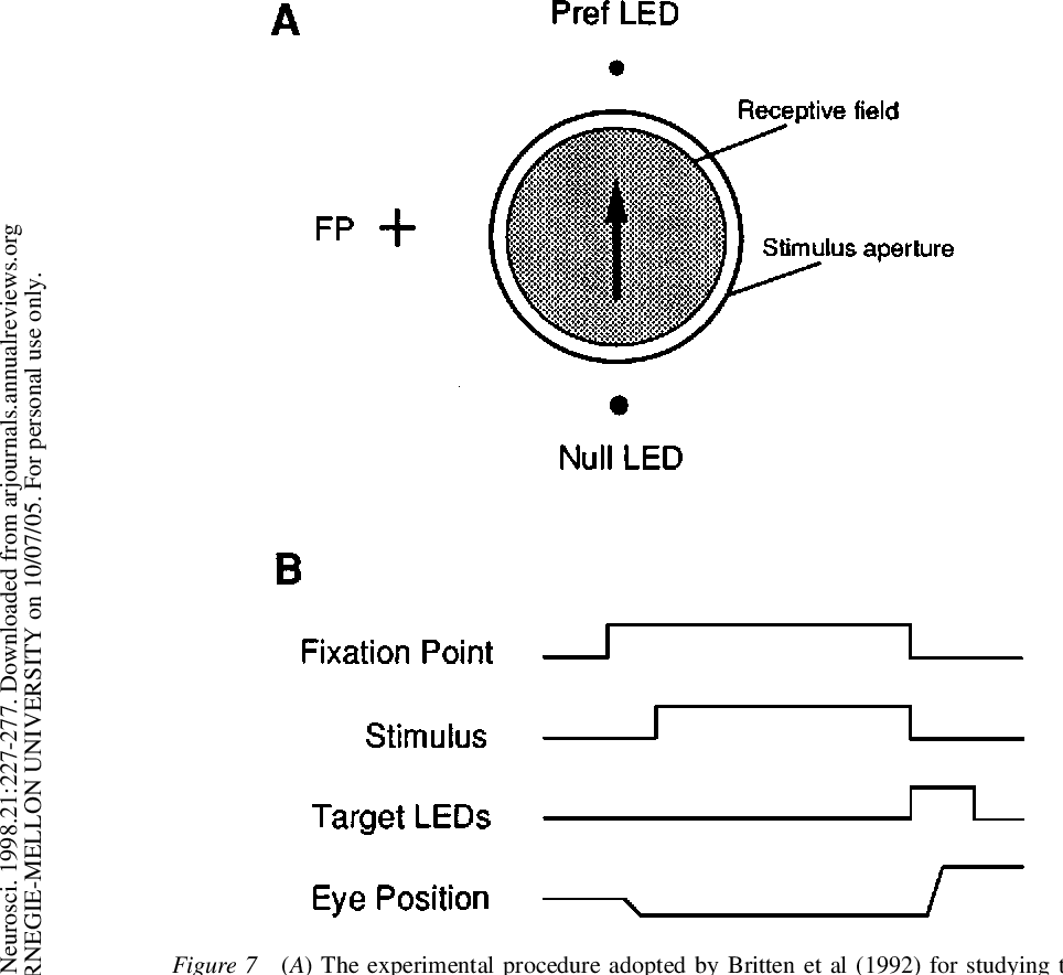 Figure 7 From Sense And The Single Neuron Probing The