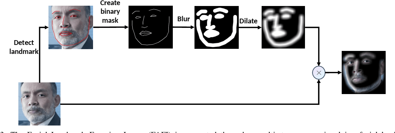 Figure 3 from unmasking illusion of daily-used deepfake applications through landmark focused
