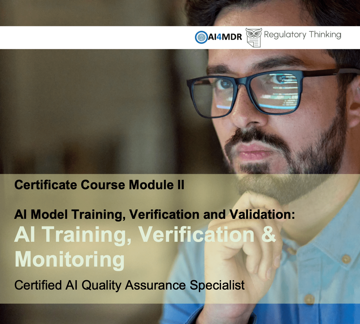 AI Training, Verification, and Monitoring