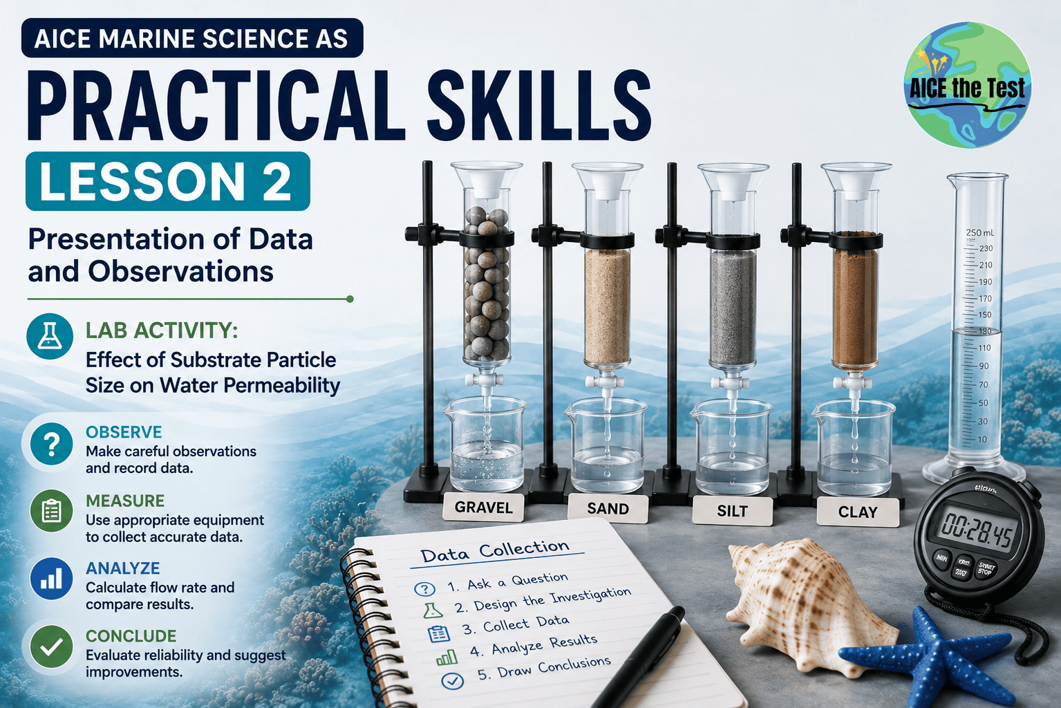 Practical Skills Lesson 02: Presentation of Data and Observations