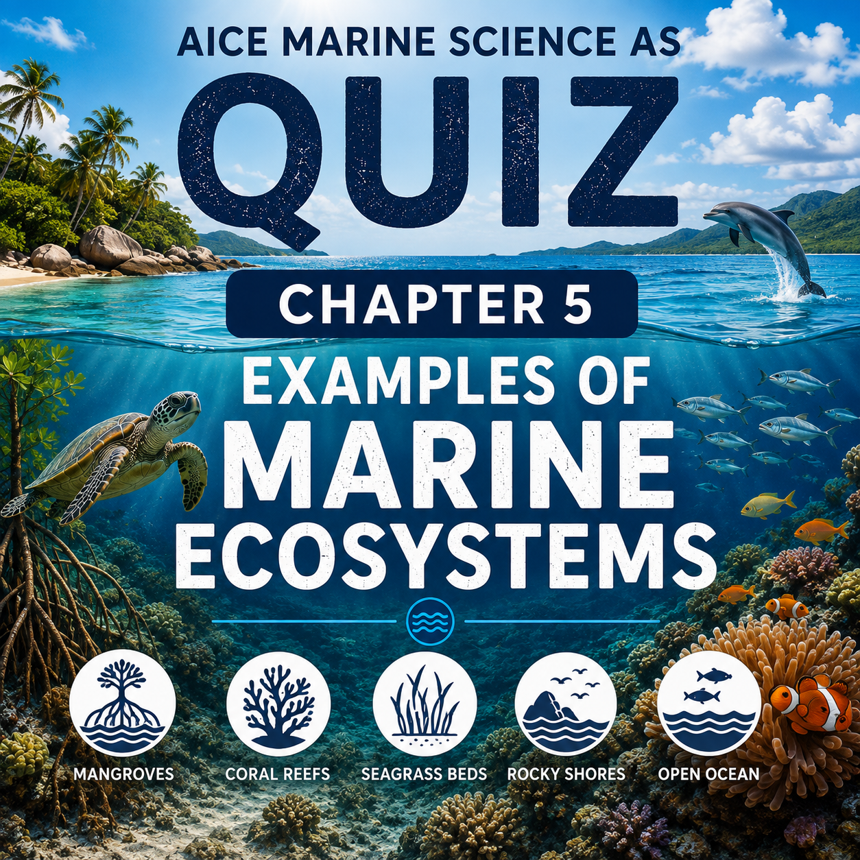 Chapter 5 Examples of marine ecosystems Quiz