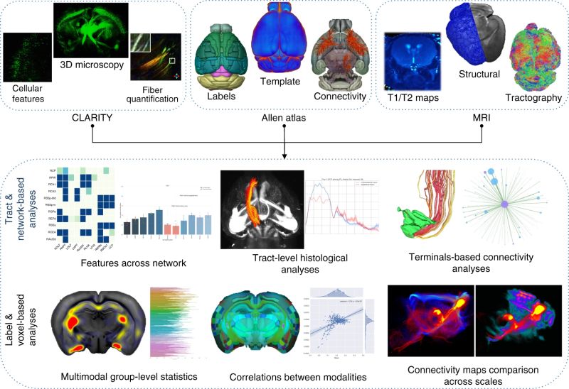 Github Aiconslab Miracl Multi Modal Image Registration And - Modern City Illustration - Mobile