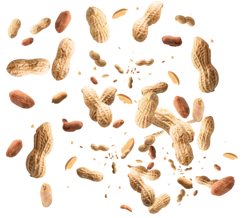 Peanut Butter Github - HD Ocean Patterns for Desktop