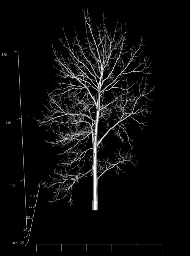 Realistic Quantitative Structure Models Rtwig - Ultra HD HD Mountain Photos | Free Download