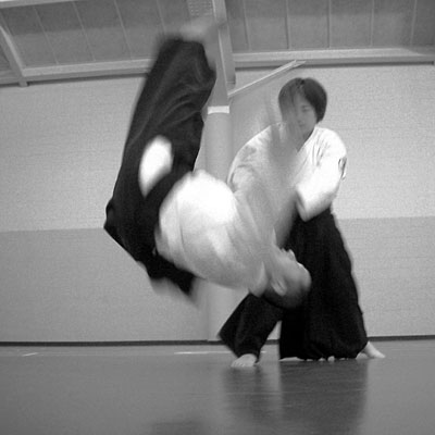 AikidoDemo3